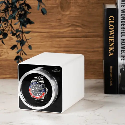 Best Mozsly Watch Winders for Rolex Watches-Blog